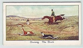 7 Coursing The Death